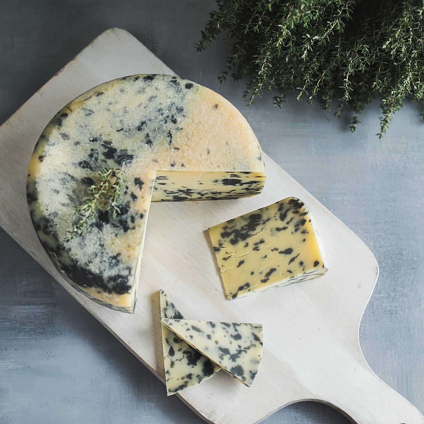 Brandintas fermentinis sūris su klevo medžio pelenais „Pasadoblis“