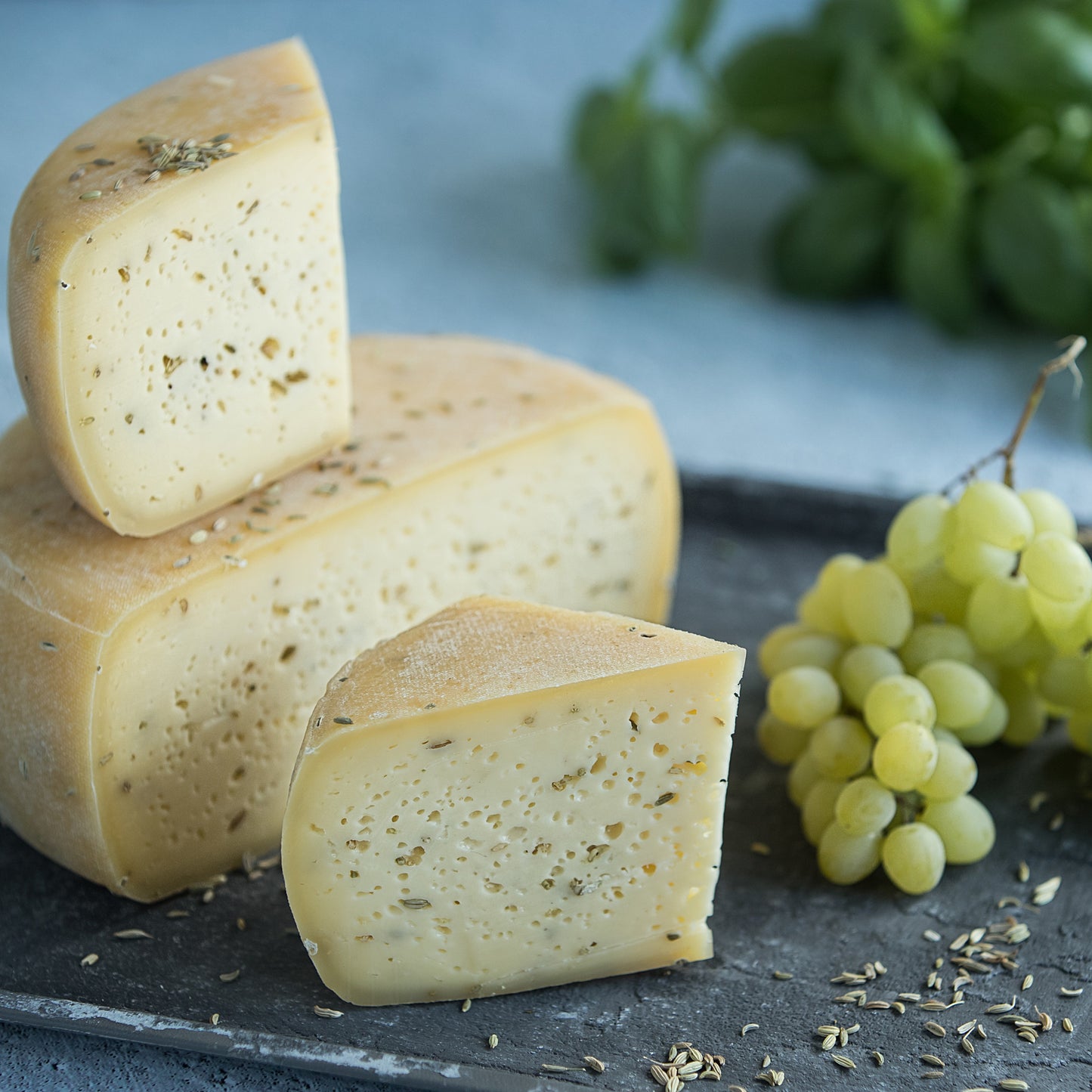 Brandintas fermentinis sūris su pankoliu „Rumba“